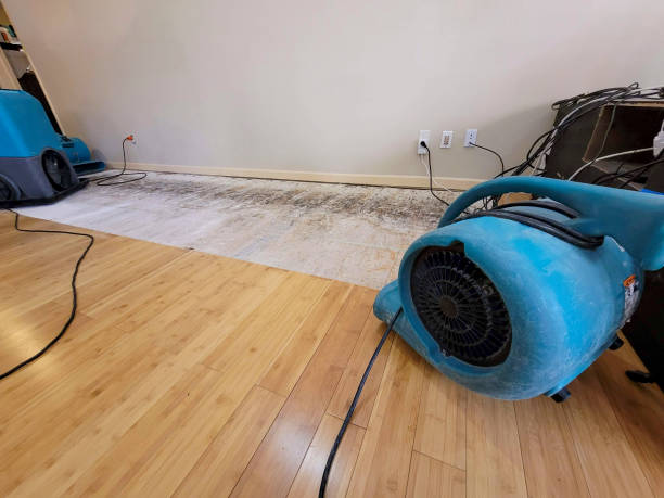 Professional Structural Drying technician working in Rockville, CT